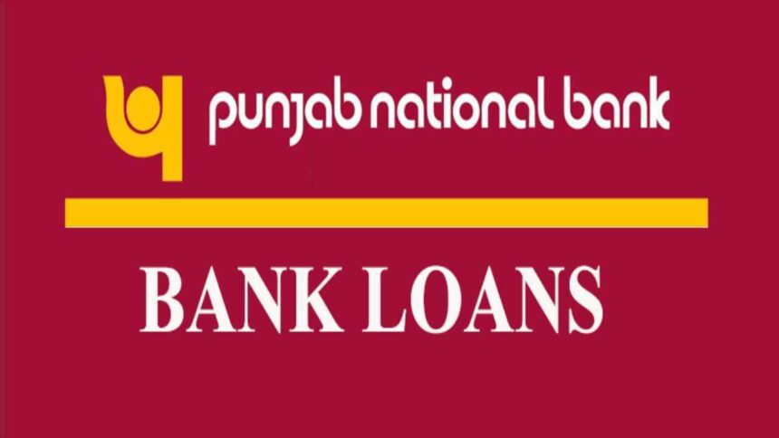 PNB Loan Punjab National Bank is giving loan up to Rs 5 lakh for business