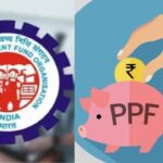 EPF Vs PPF What is the difference between the two, know the advantages and disadvantages