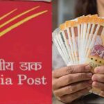 Post Office New Schemes How much profit will you get on RD of ₹ 2000, ₹ 3000 and ₹ 5000 in post office, what will be the maturity amount Understand the calculation