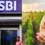 SBI initiatives for Agri Loan SBI has made big preparations for farmers, started a new initiative to reduce risk in agriculture loan segment